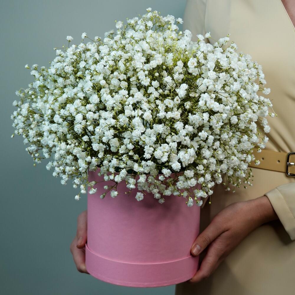 25 Белых Гипсофил в коробке